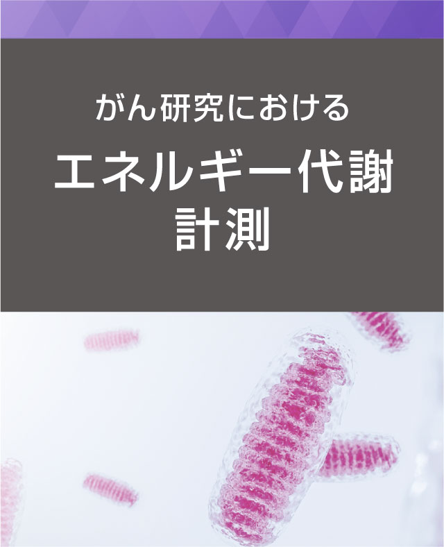 がん研究におけるエネルギー代謝計測