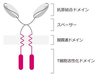アプリケーション事例1:抗体産⽣の⾃動化・効率化