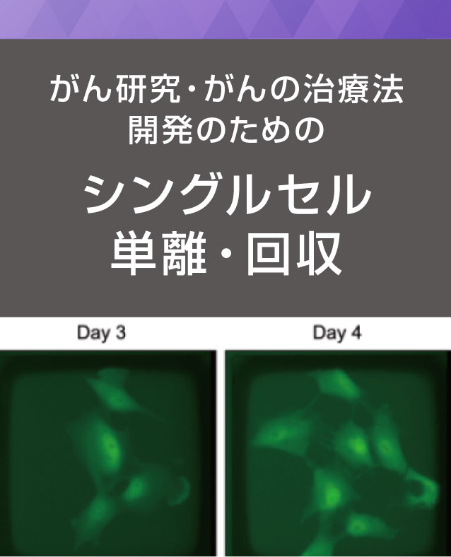 がん研究・がんの治療法開発のためのシングルセル単離・回収