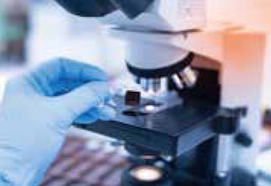 バイオイメージング