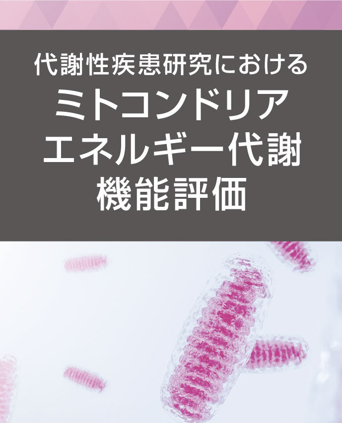 代謝性疾患研究におけるミトコンドリアエネルギー代謝機能評価