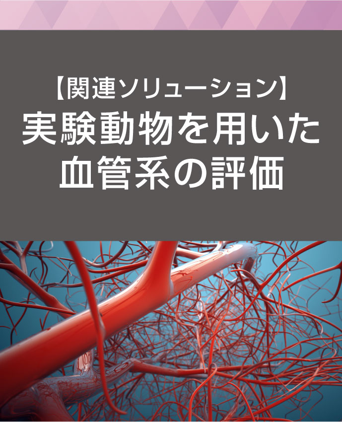 関連ソリューション:実験動物を用いた血管系の評価